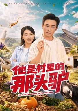 他是村里的那头驴封面