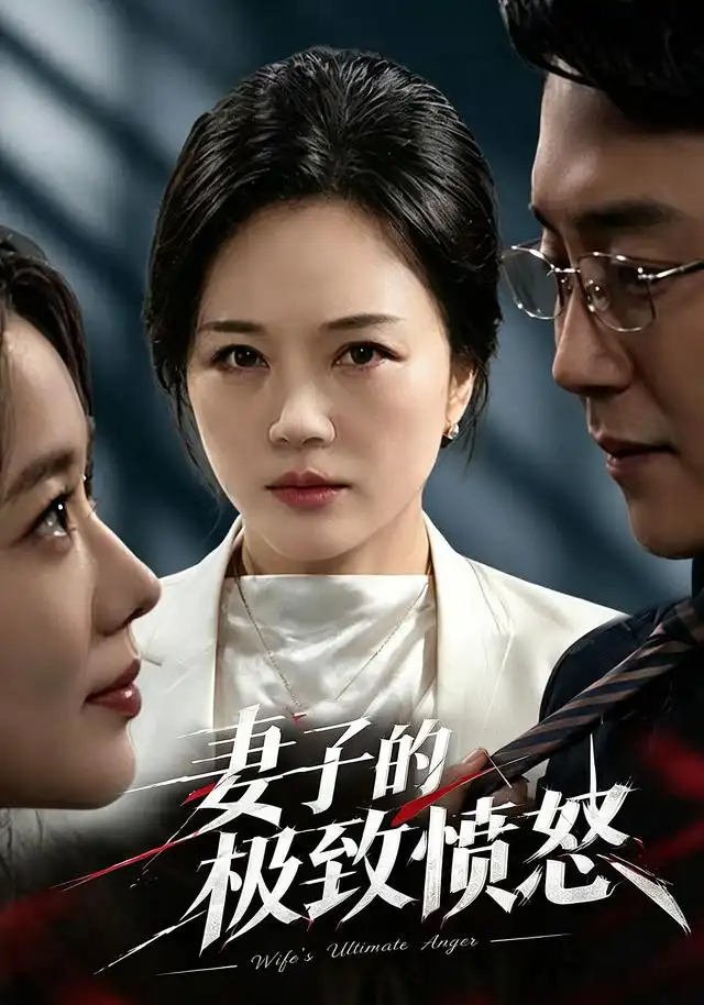 妻子的极致愤怒封面