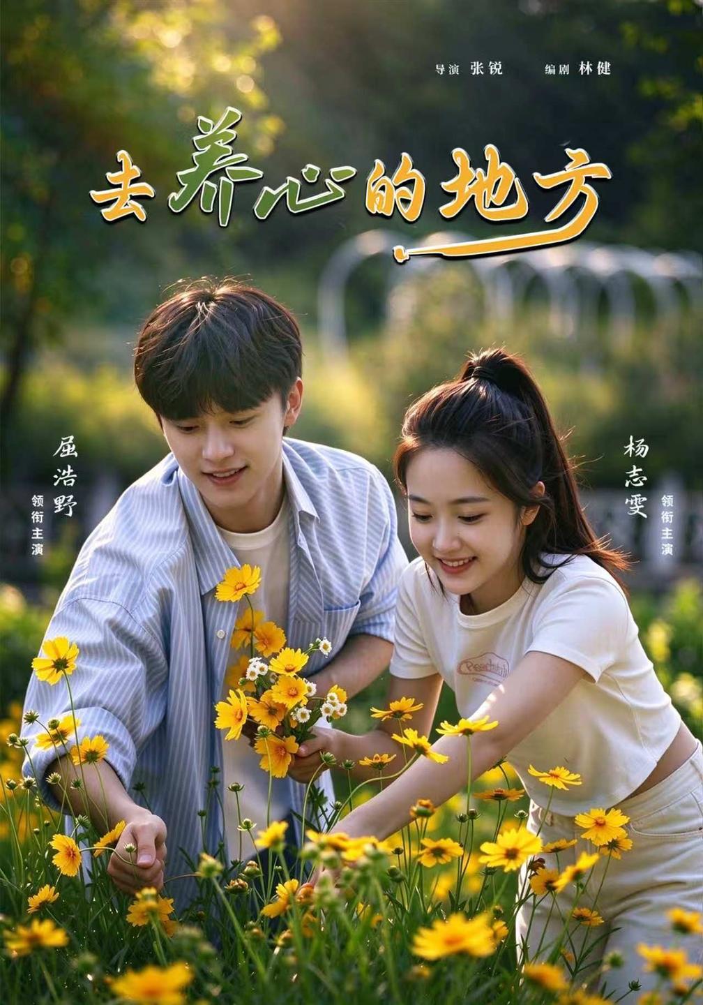 去养心的地方封面
